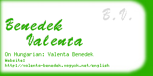 benedek valenta business card